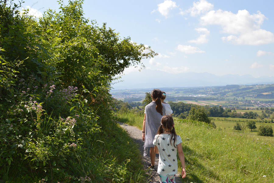 Burgruine Nünegg Aussenansicht
